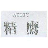 精鷹 AKTIV