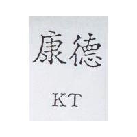 康德 KT