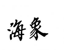 海象