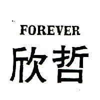 欣哲 FOREVER