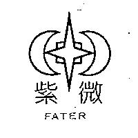 紫微及圖 FATER
