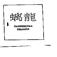螭龍 GANODERMA DRAGON