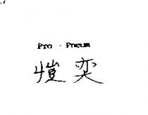 愷奕 Pro-Pneum