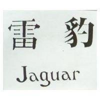 雷豹 Jaguar