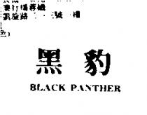黑豹 BLACK PANTHER