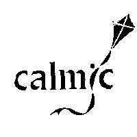 Calmic Kite Device