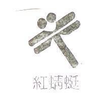 紅蜻蜓及圖