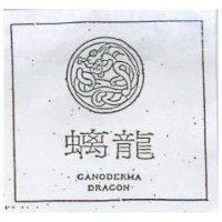 螭龍 GANODERMA DRAGON