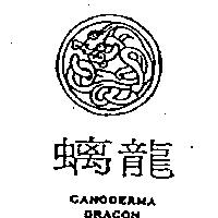 螭龍及圖 GANODERMA DRAGON