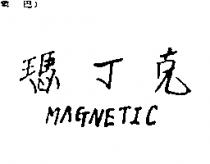 瑪丁克 MAGNETIC