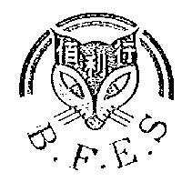 佰利行及圖 B.F.E