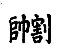 帥割
