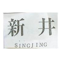 新井 SING JING