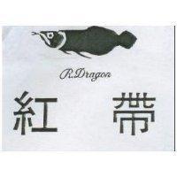 紅帶及圖 R. Dragon
