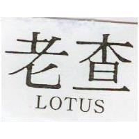 老查 LOTUS