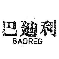 巴迪利 BADREG 