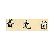 普克菌