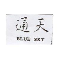 通天 BLUE SKY