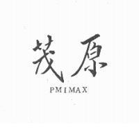 茂原 PMIMAX