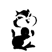 松鼠圖一
