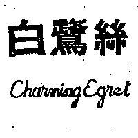 白鷺絲及圖