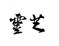 靈芝