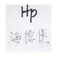 海德堡及設計圖 HP