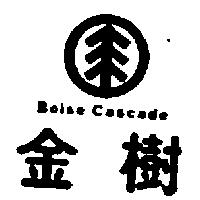 金樹及圖 Boise Cascade