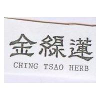 金線蓮 CHING TSAO HERB