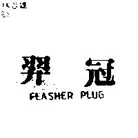 羿冠 FLASHER PLUG