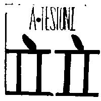 立立及圖 A.TESTONI