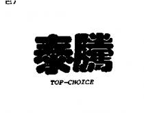 泰騰 TOP-CHOICE