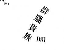 群腦貴族 Bill