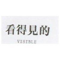 看得見的 VISIBLE