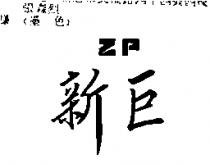 新巨 ZP