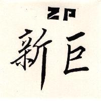 新巨 ZP