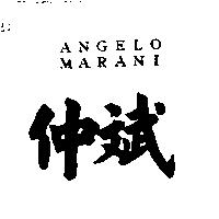 仲斌 ANGELO MARANI
