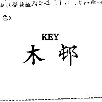 木邨 KEY