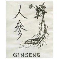 人參及圖樣 GINSENG