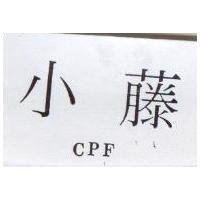 小藤 CPF
