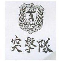 突擊隊及圖 A ESP ARMY