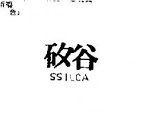 矽谷 SSILCA