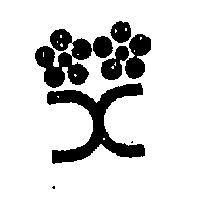 花束編編網圖