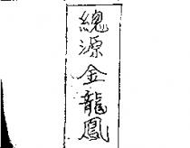 總源金龍鳳