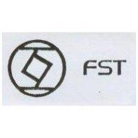 互及圖 FST