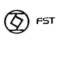 互及圖 FST