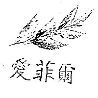 愛菲爾及圖