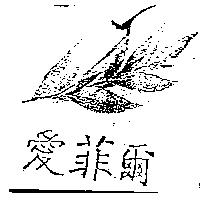 愛菲爾及圖