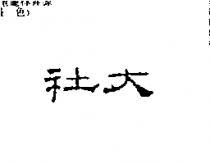 社大