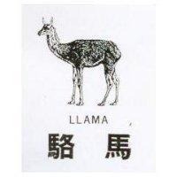 駱馬及圖 LLAMA